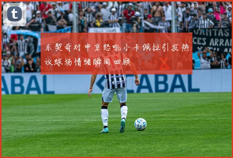 东契奇对申京怒吼小卡佩拉引发热议球场情绪瞬间回顾